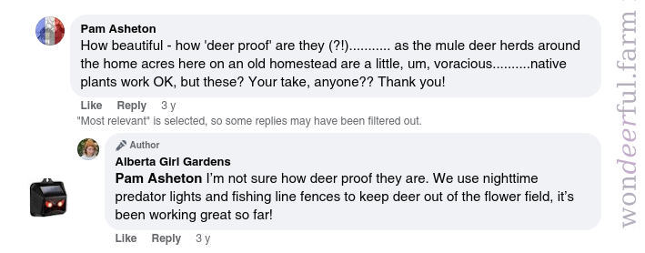 reviews for predator eye lights